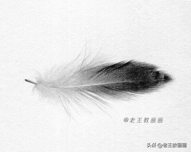 原来画一片羽毛，这么简单_搜狐网