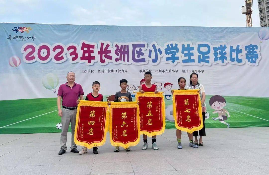 新興小學,龍新小學,大塘小學,紅嶺小學,龍平小學,新興二路小學,倒水