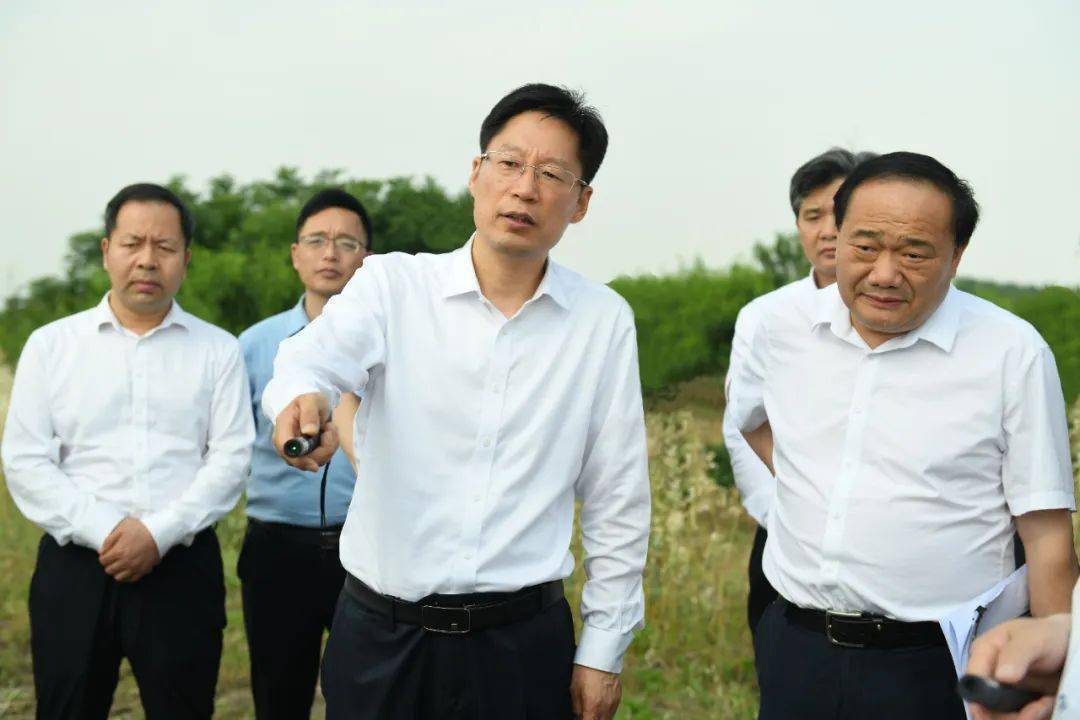 刘玉杰深入重点项目现场召开第50次要素保障星期六会商会_阜阳_建设