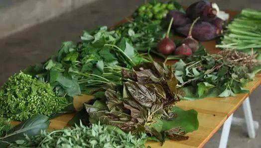 有一种味道叫普洱│小满食野菜 "食"分节气_澜沧县_稀饭_民族