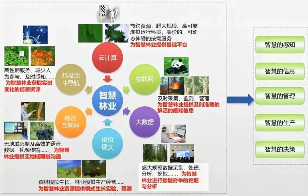 自《中国智慧林业发展指导意见》颁布出台之后,中国林业信息化建设