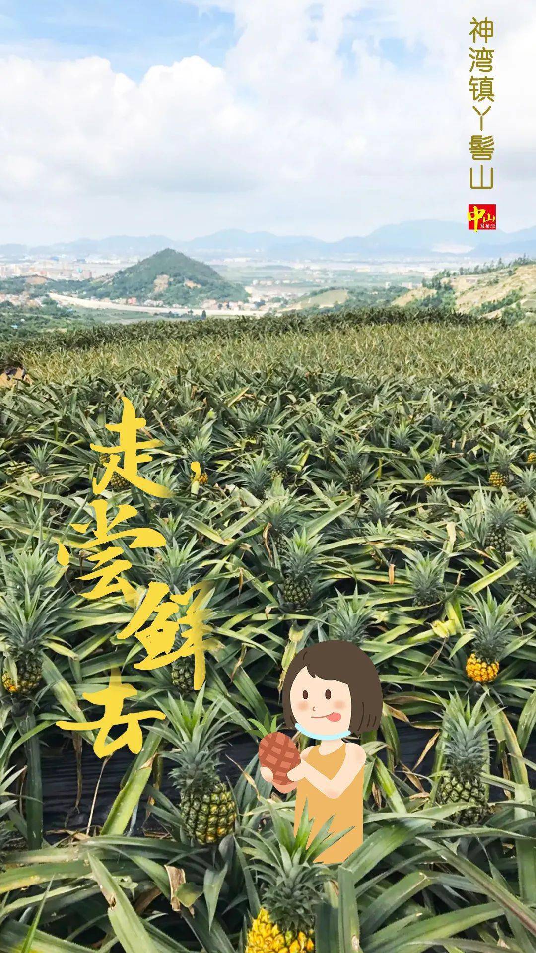 菠萝_神湾镇_游客