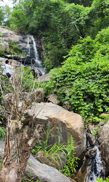 来新洲,与徐古"红绿蓝"来一场美丽邂逅吧!_种植_峡谷_乡村