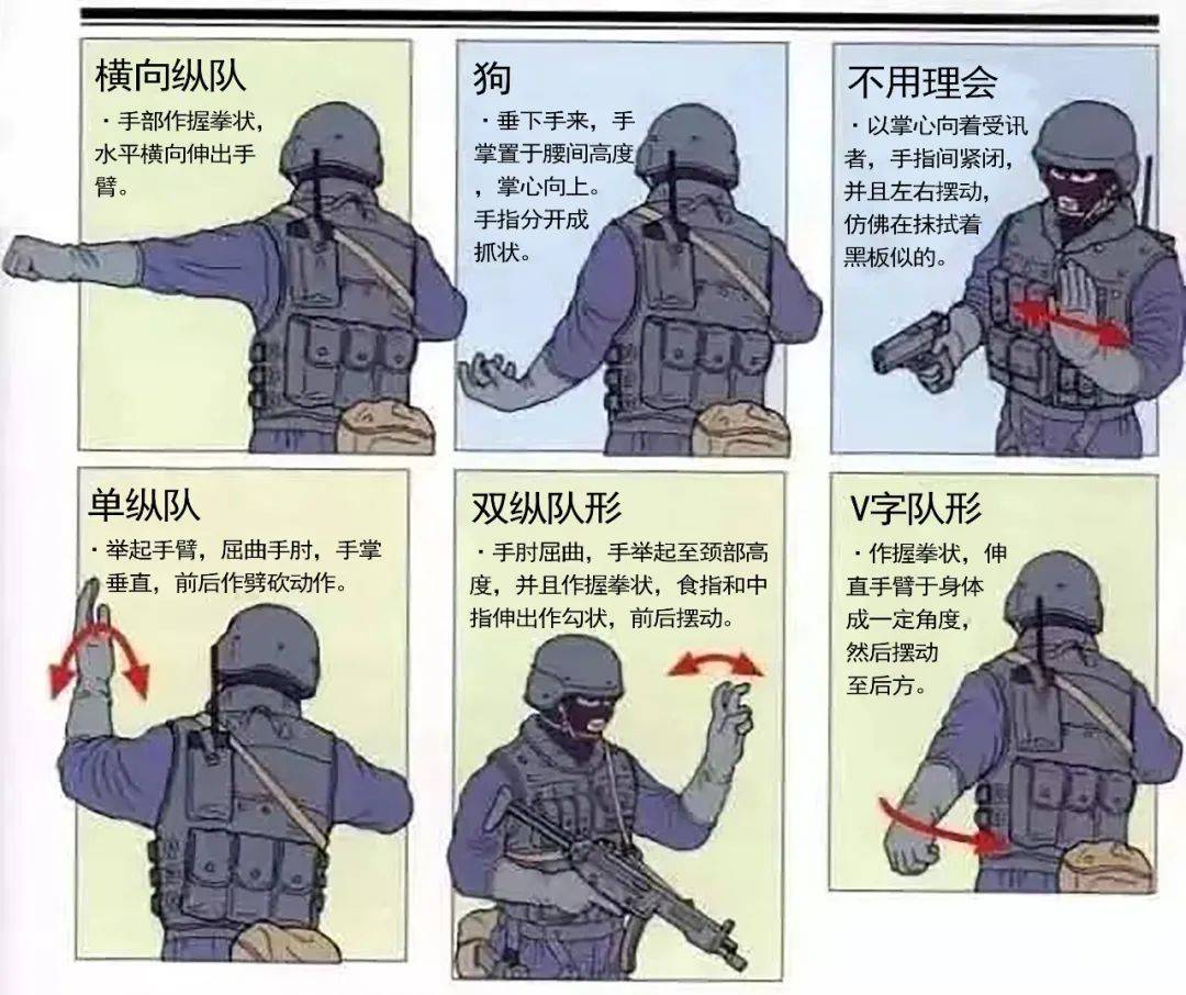即通过特定的手形,手势,形体动作和面部表情,传递特定信息指挥行动.