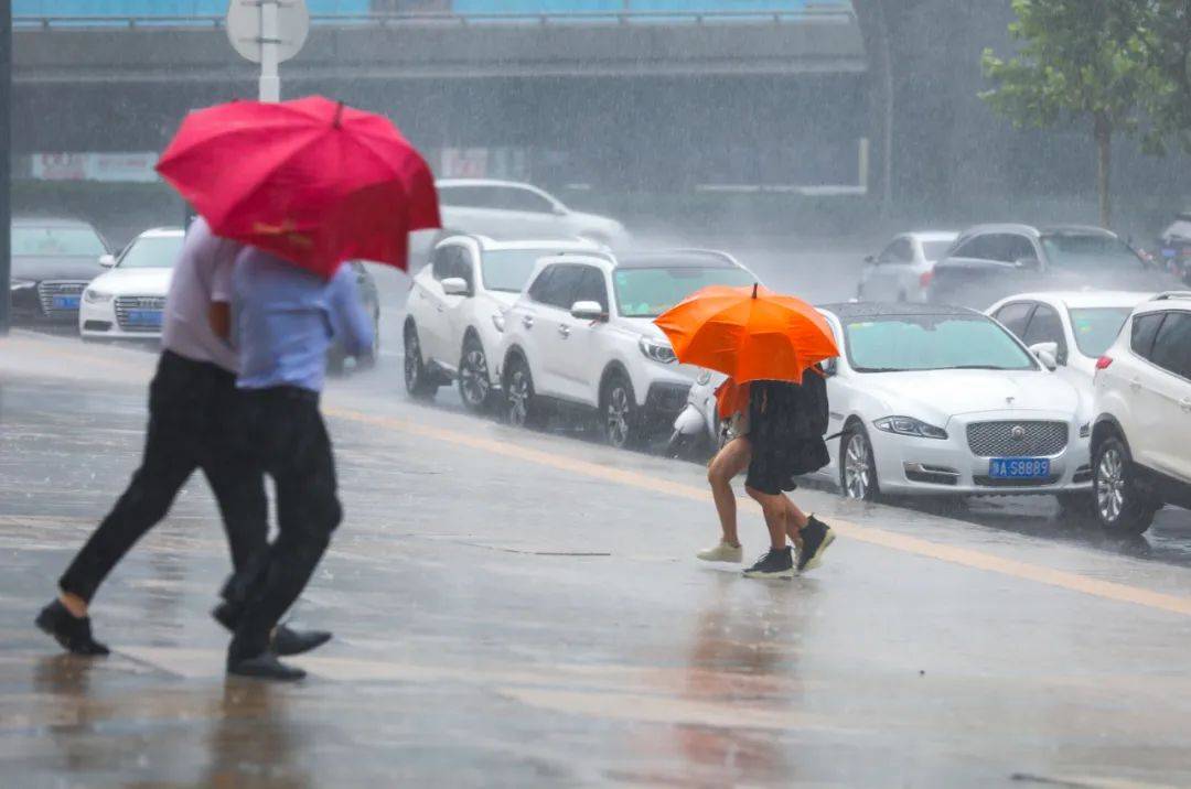 郑州市发布重要天气预报!_过程_阵雨_降水