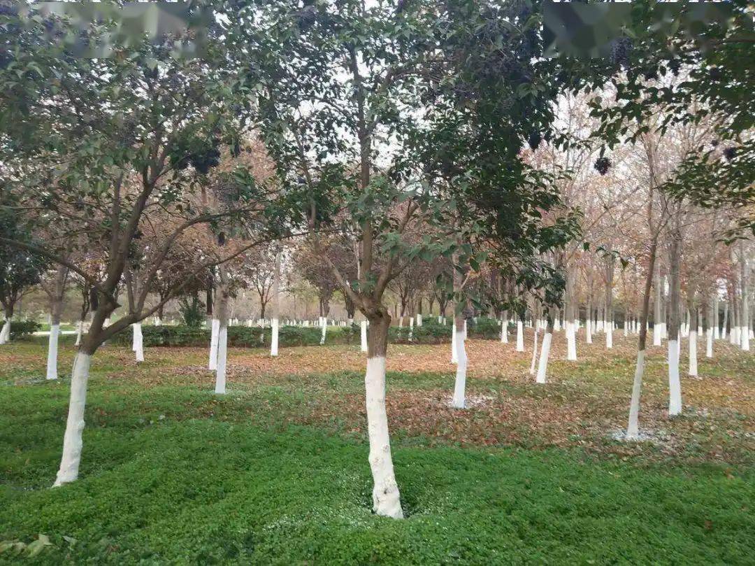 baltic_酿造_酒庄