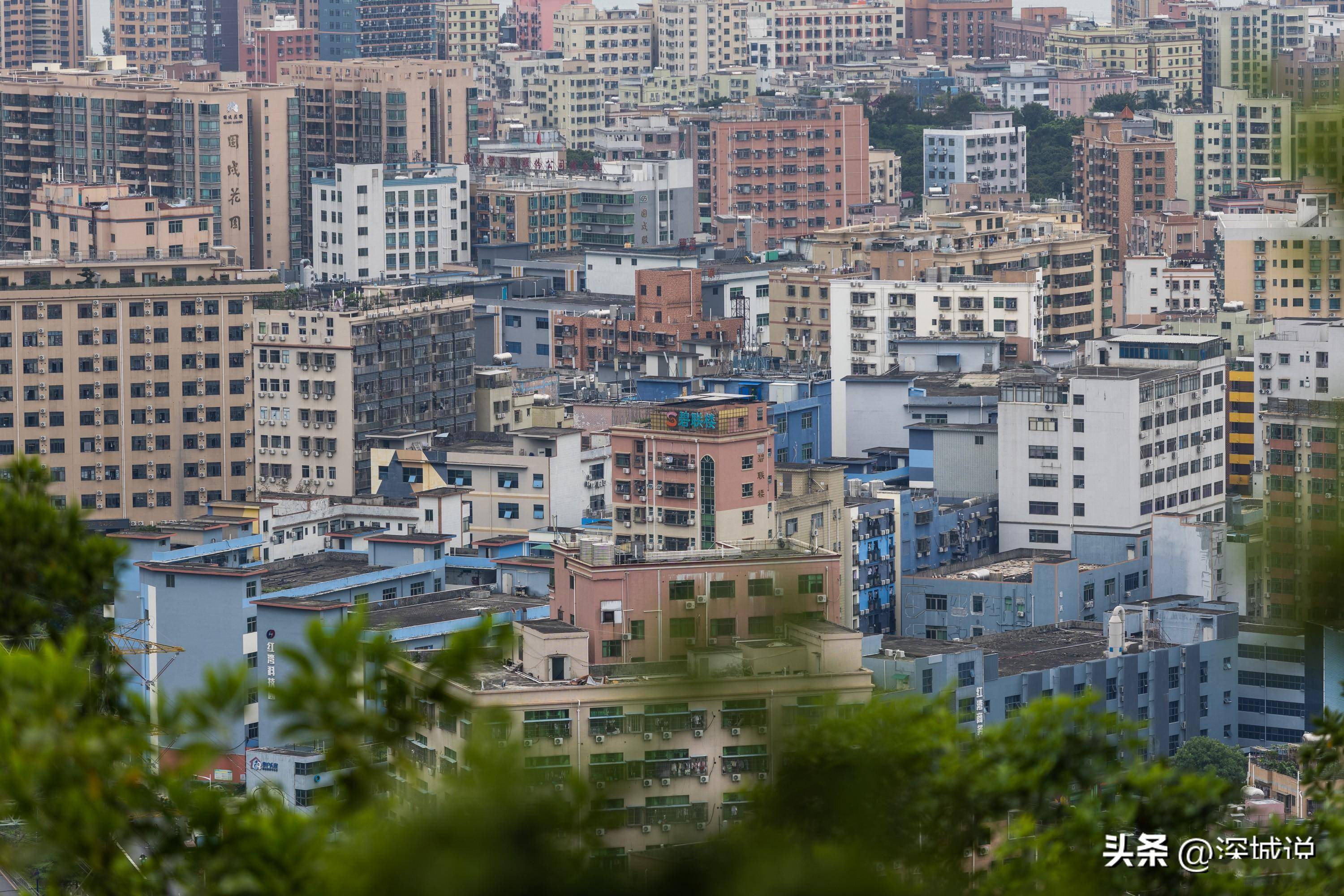 俯瞰西乡固戍城中村,建筑物密密麻麻,是不少"深漂"的落脚点_生活_一带