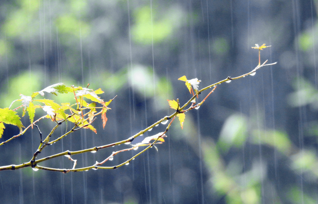 雨雨雨又要来了