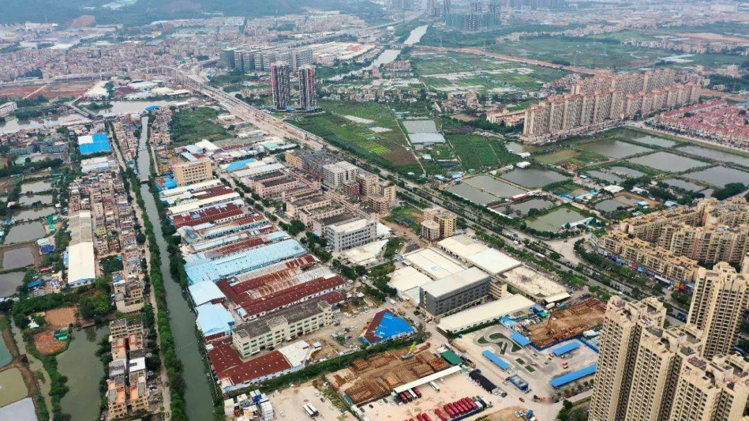 集体会诊,逐一把脉,坦洲镇高效解决村集体"工改"难题_改造_项目_社区