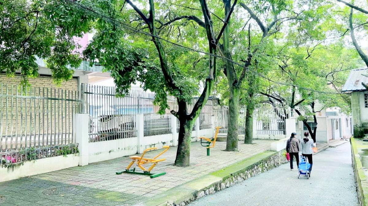 过去常内涝的桂林一老旧小区 ,改造后解决了居民十几年的烦恼_六合路_社区_问题