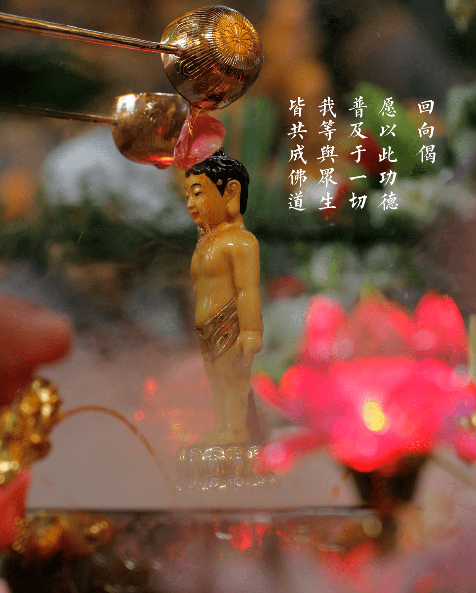 恭迎|四月初八 释迦牟尼佛圣诞_太子_净饭王_菩萨