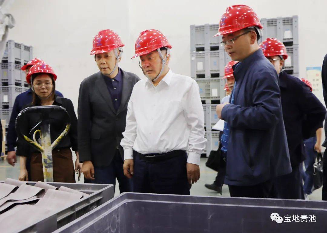马胜利在池州高新区开展专题调研_发展_贵池区_企业