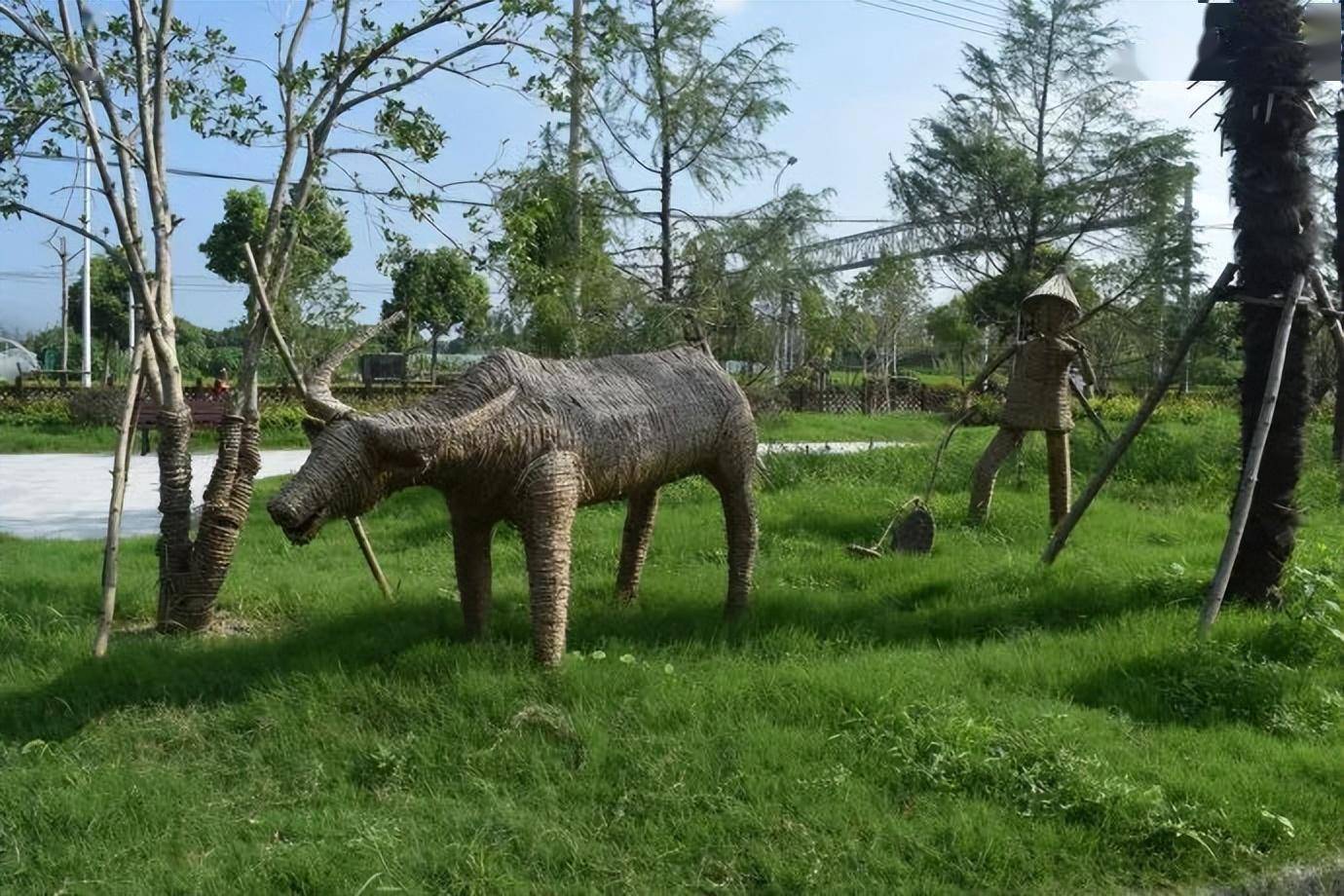 乡村小品景观设计时,如何突出"自然美"?_农业_进行_文化