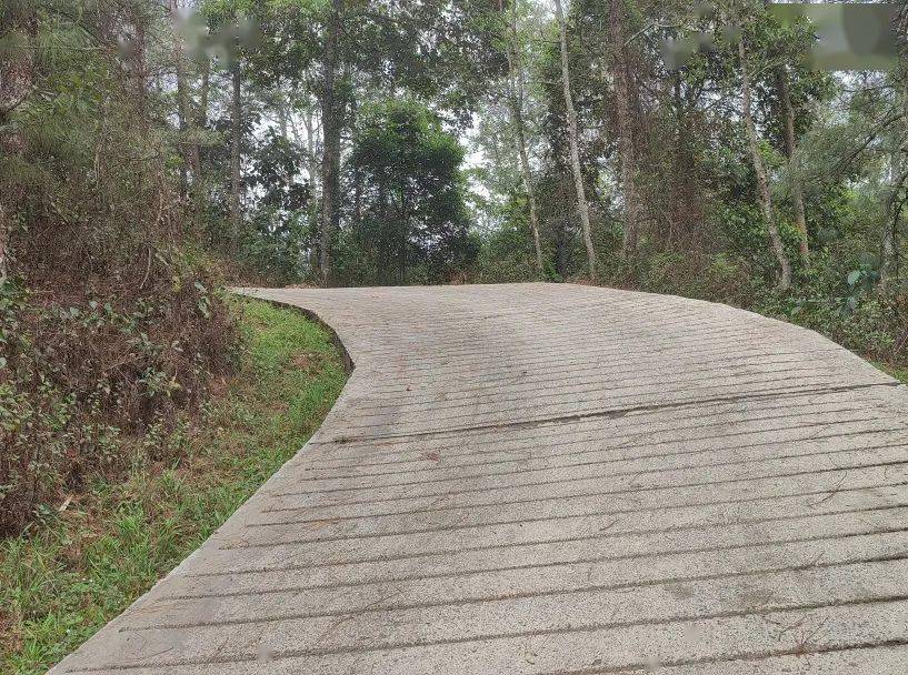 普法强基补短板,普法宣传面对面——保山市二院进挂钩村开展普法_乡村