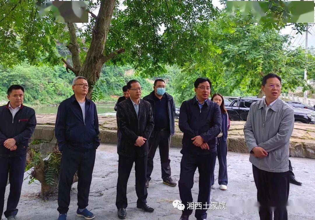 力抓水生态环境质量_吉首市_刘冬生_调研