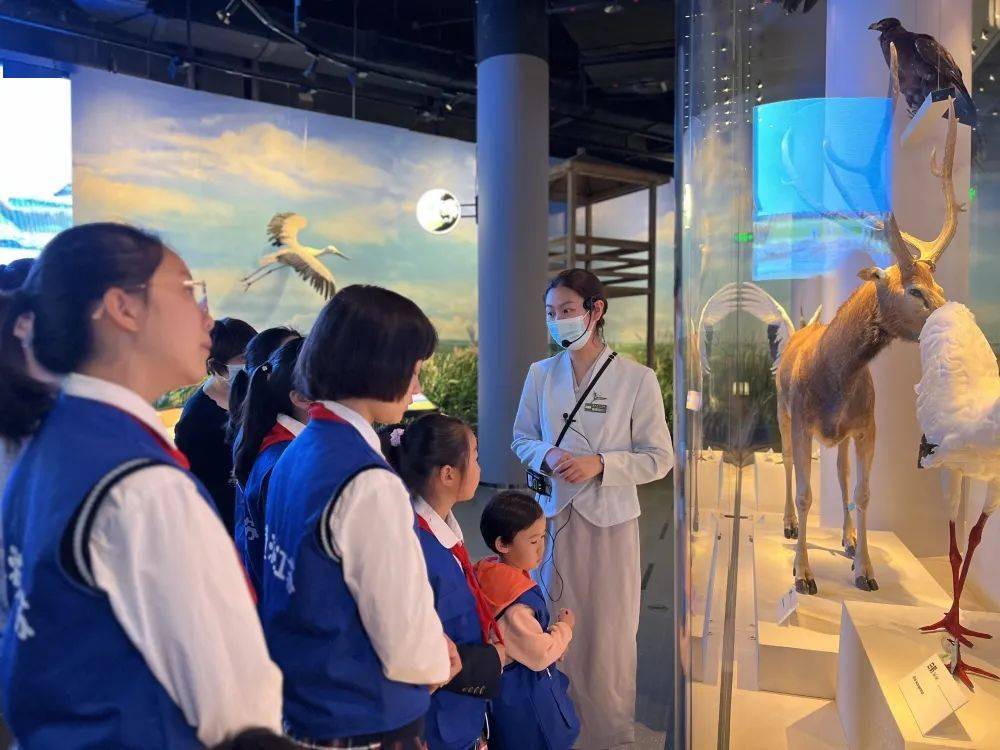 幸福交行 童游江苏|走进盐城市博物馆_展厅_历史_文化
