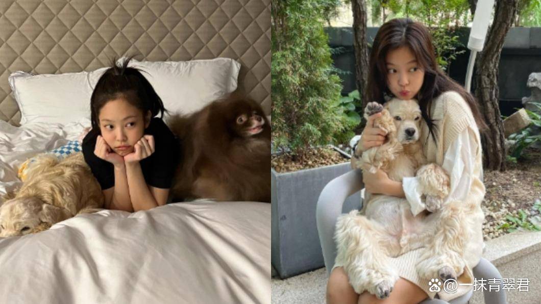 jennie挚爱kai不幸离世 与妈妈提及爱犬便相互哽咽