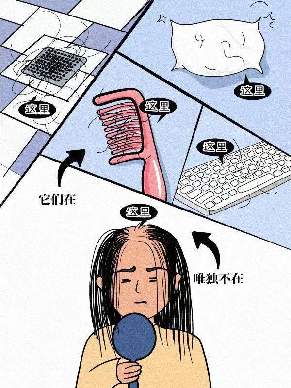 生发不易,且有且珍惜吧~各位"秃头小宝贝们",要知道,每一根头发的离去