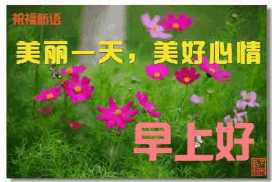 早上好问候语温馨短句，清晨问候早上好的短句子（早晨好的问候句子暖心）