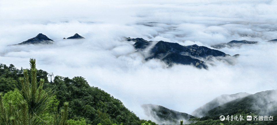 壹图集|雨后泰山苍翠,云雾起伏_降雨_许德_群山