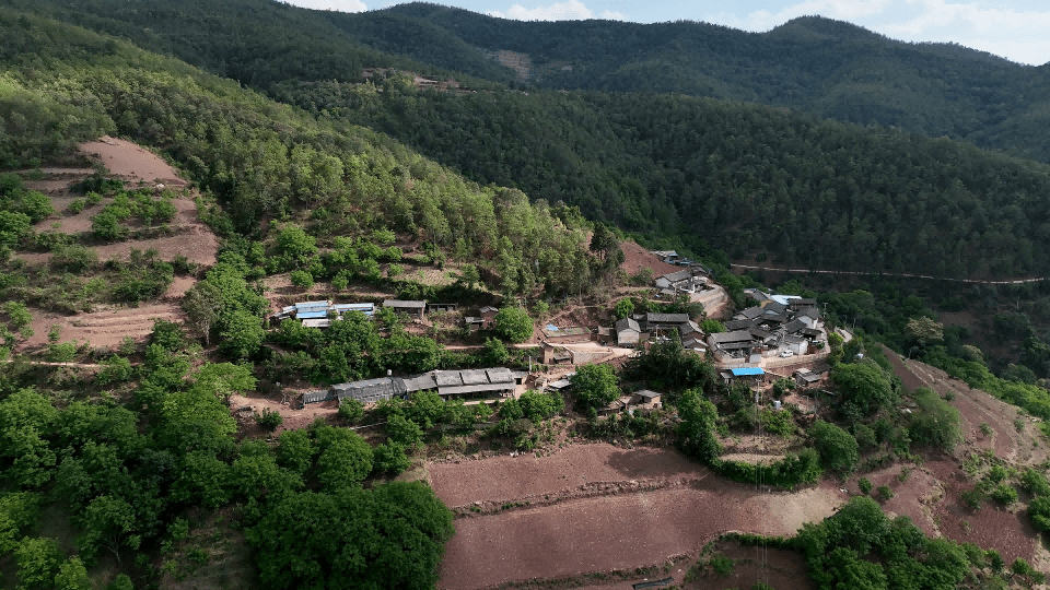 近年来,姚安县大河口乡依托全乡山地多,饲草丰富,村民养牛有基础的