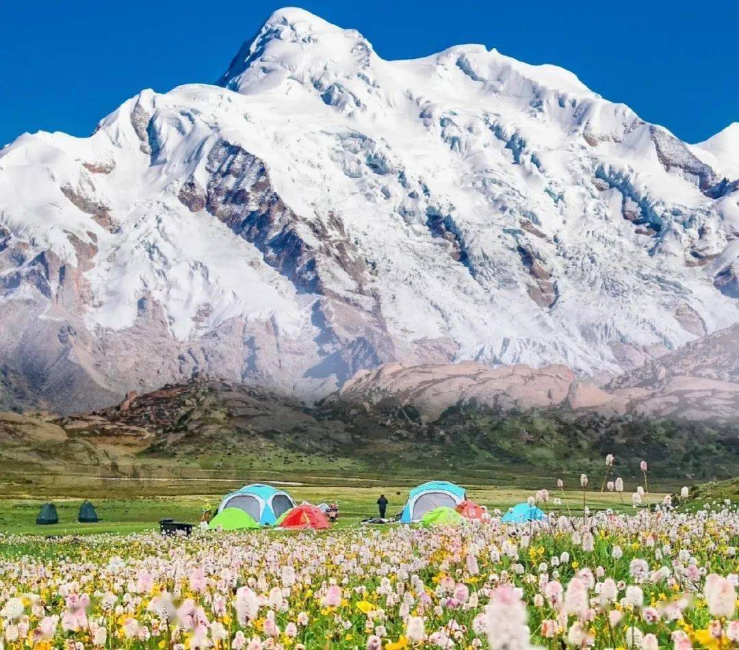 贡嘎环线 伍须海61俄色花61甲根坝61泉华滩4日游自驾_行程_门票