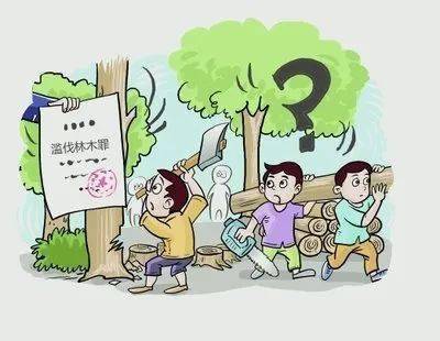 清丰两人未经批准,滥伐114株杨树,最后.