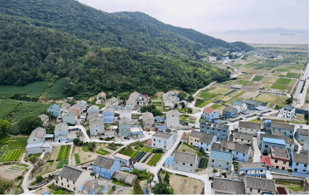 村庄设计优秀案例系列报道⑦ | 北仑区郭巨街道双岙村_改造_渔村_资源