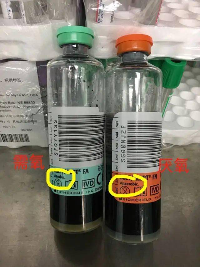 关于血培养,这些你应该了解的知识点_标本_导管_患者