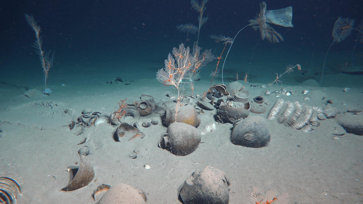 南海西北陆坡沉船遗址第一阶段调查:最新海底画面来了!