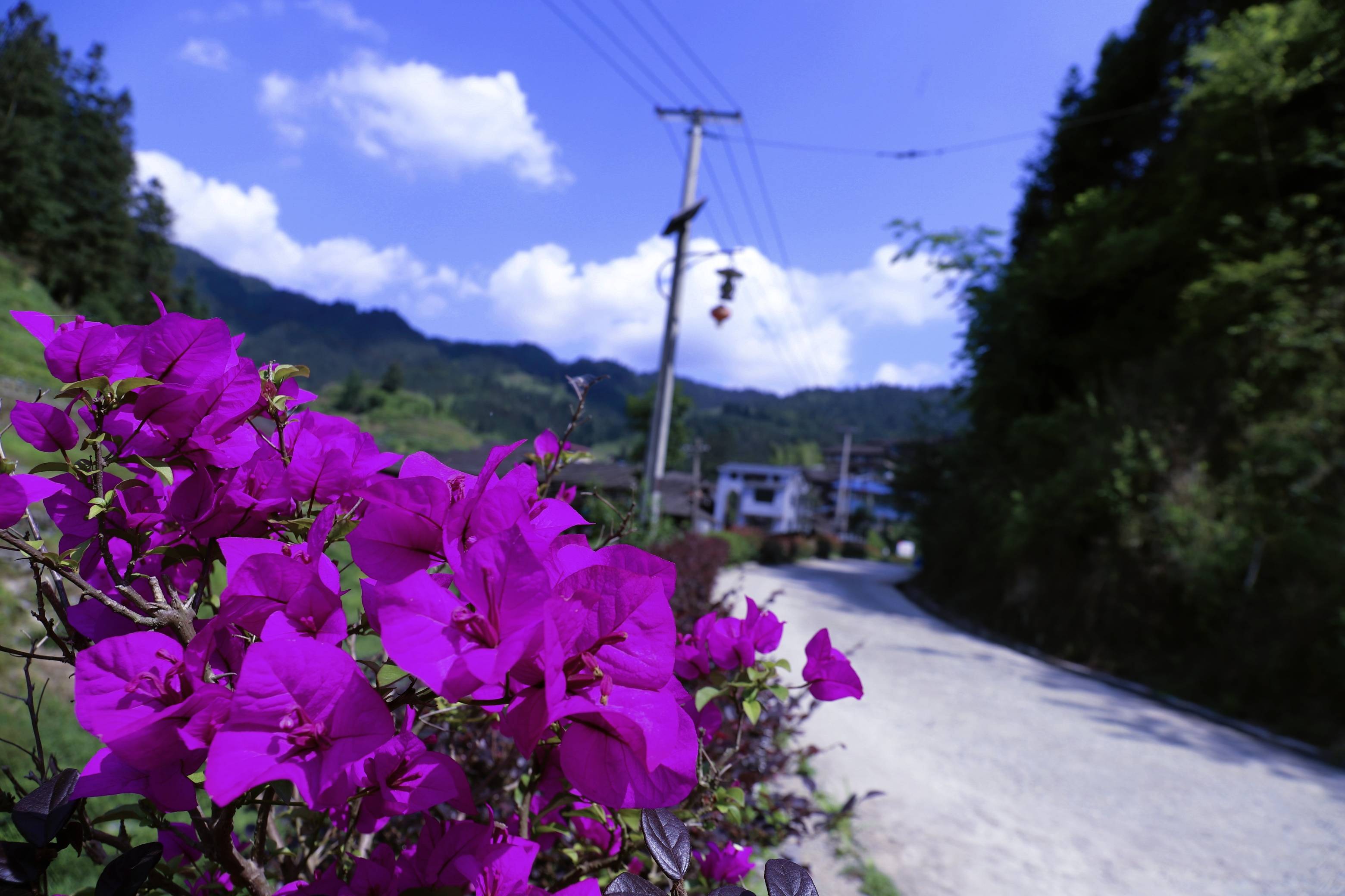 从江县秀塘乡:建设美丽乡村 留住美好乡愁