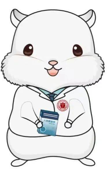 北医院系吉祥物集合啦~~_护理_医学_基础