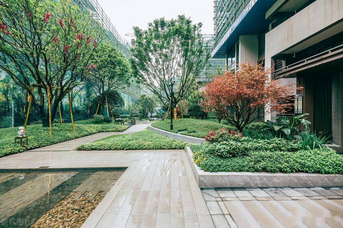 园区容积率和绿化率的区别,常用绿化植物的配置应用_小区_种植_灌木