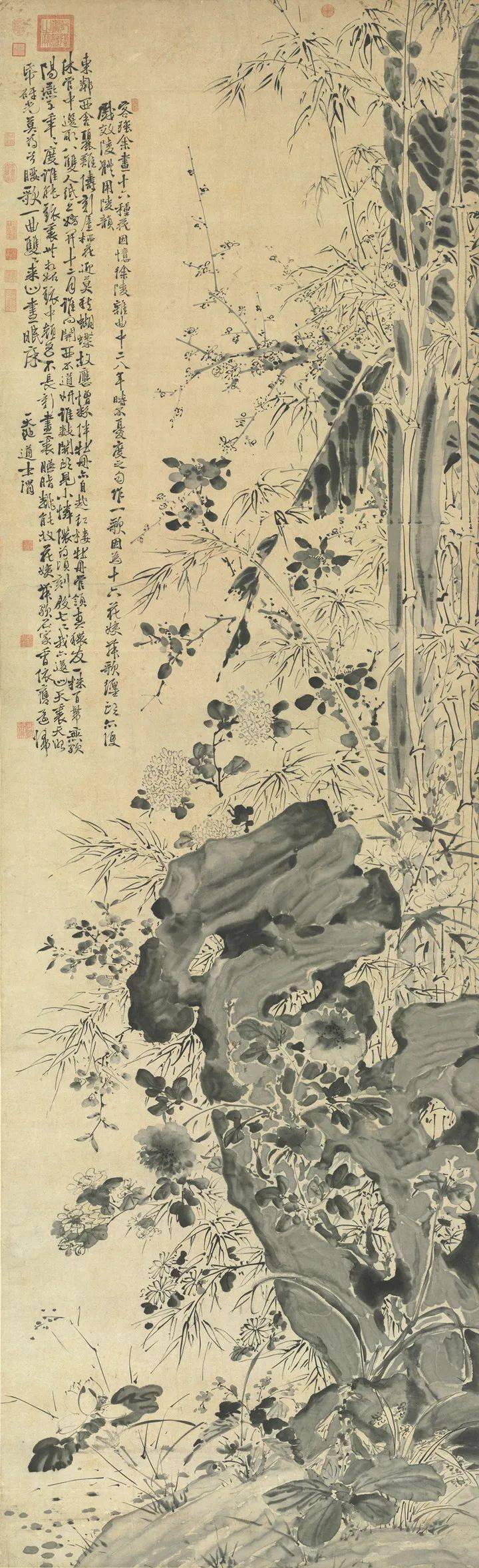 徐渭写竹，狂放不羁，墨气淋漓_水仙_竹子_竹卷