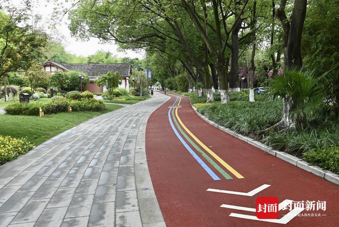 成都望江路片区改造升级 人行绿道大变样|图集_绿化_人行道_锦江