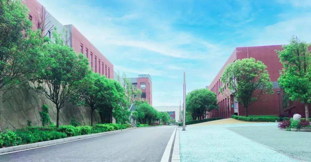 从具体内涵所形成的的办学优势来解读,明雅学校具有好学校的四大核心