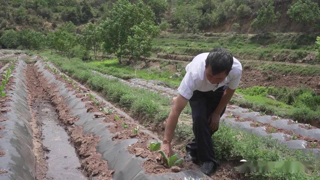 张成智:大家致富我开心_村民_松坪_发展