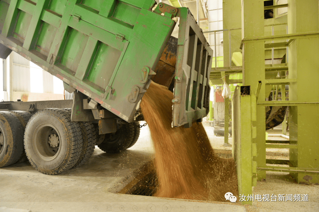 "三夏"抢收保粮安 农机护航助增收_汝州市_小麦_进行