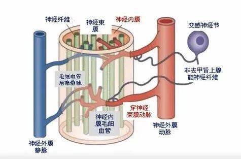 糖尿病神经病变怎么治?主任手把手来教你