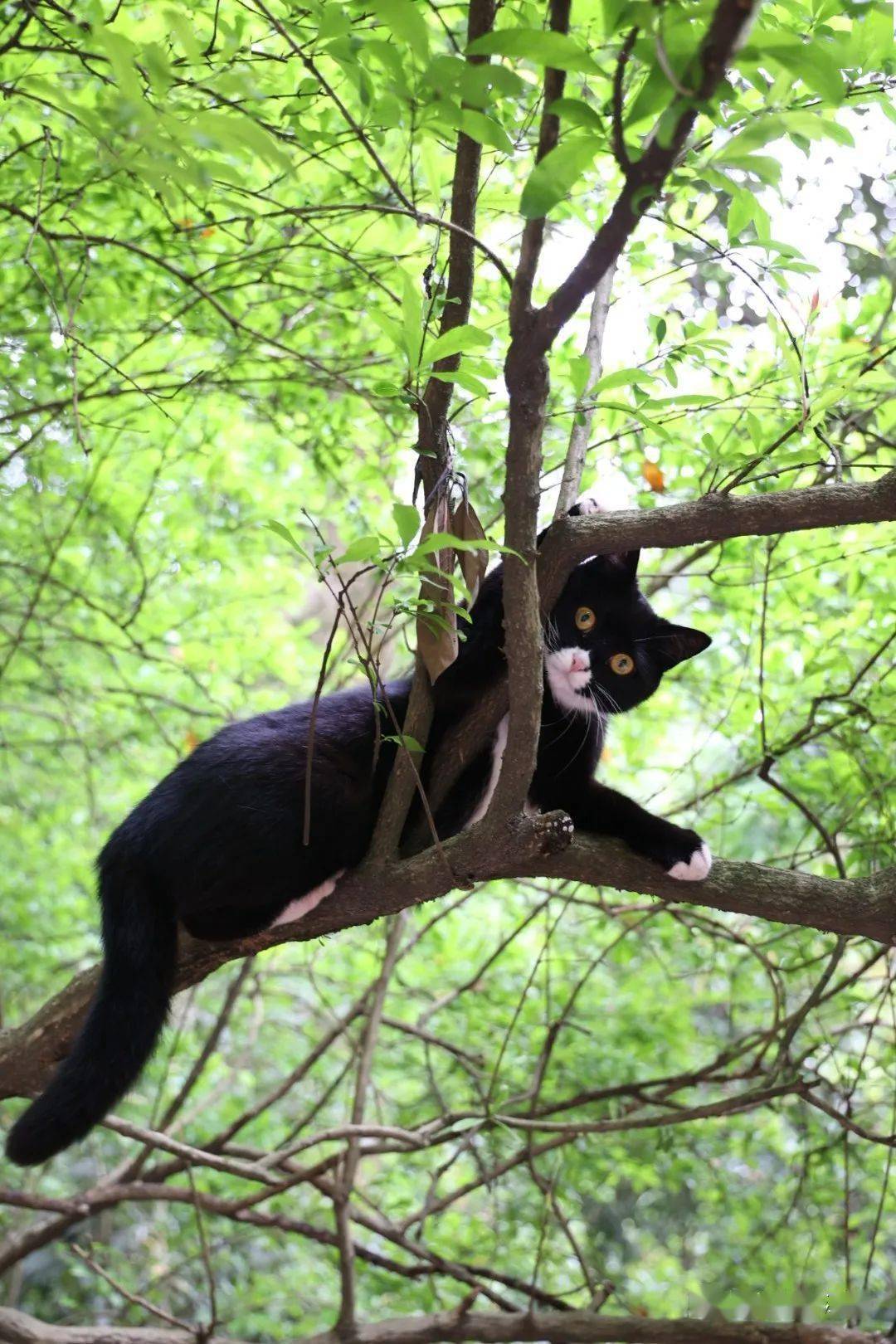 吸"宫"猫,追光影,遇故居.解锁不一样的青城山美景