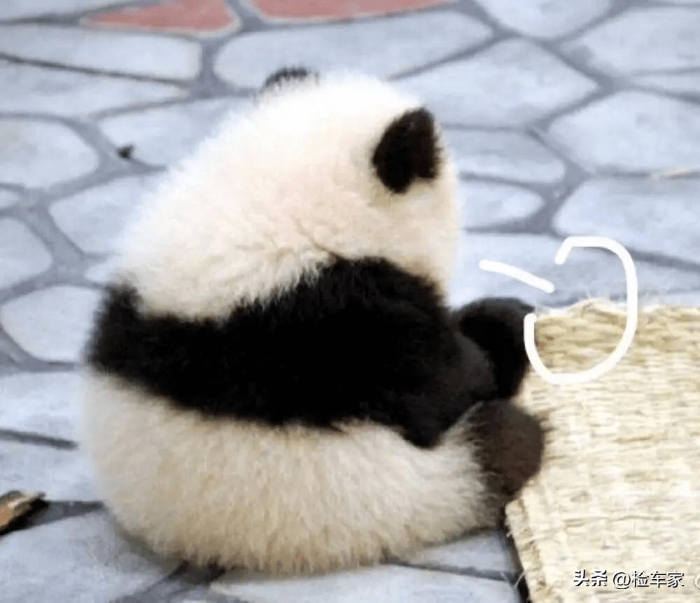 腻子中加铁粉，只为迷惑检测师，这辆沃尔沃还有什么故事？