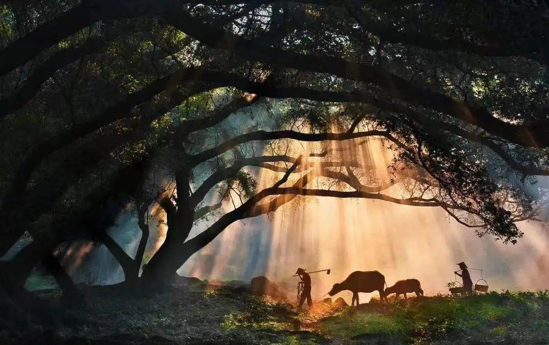 暑期·欢乐霞浦丨三沙东壁 滩涂赶海 杨家溪榕枫林 九鲤溪 白水洋,双