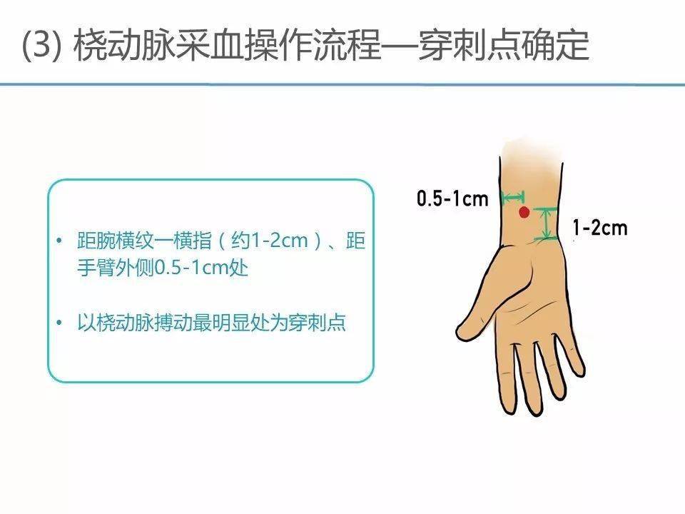 肱动脉采血进针角度图片