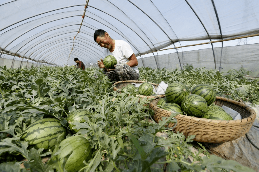 第二十二届中国·江宁横溪西瓜节开幕式暨第二十三届"江宁之春"横溪