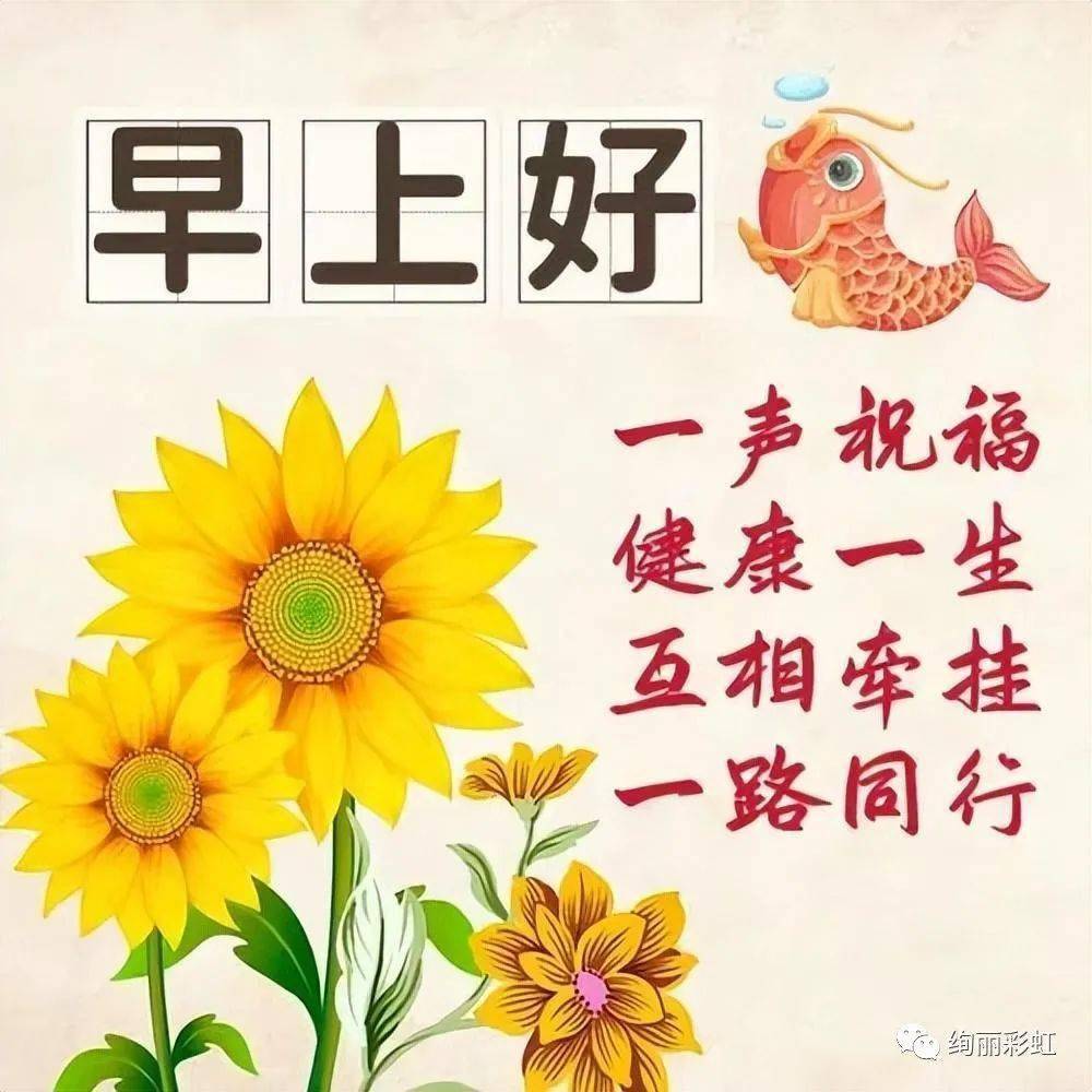 最新版早上好表情花草图片