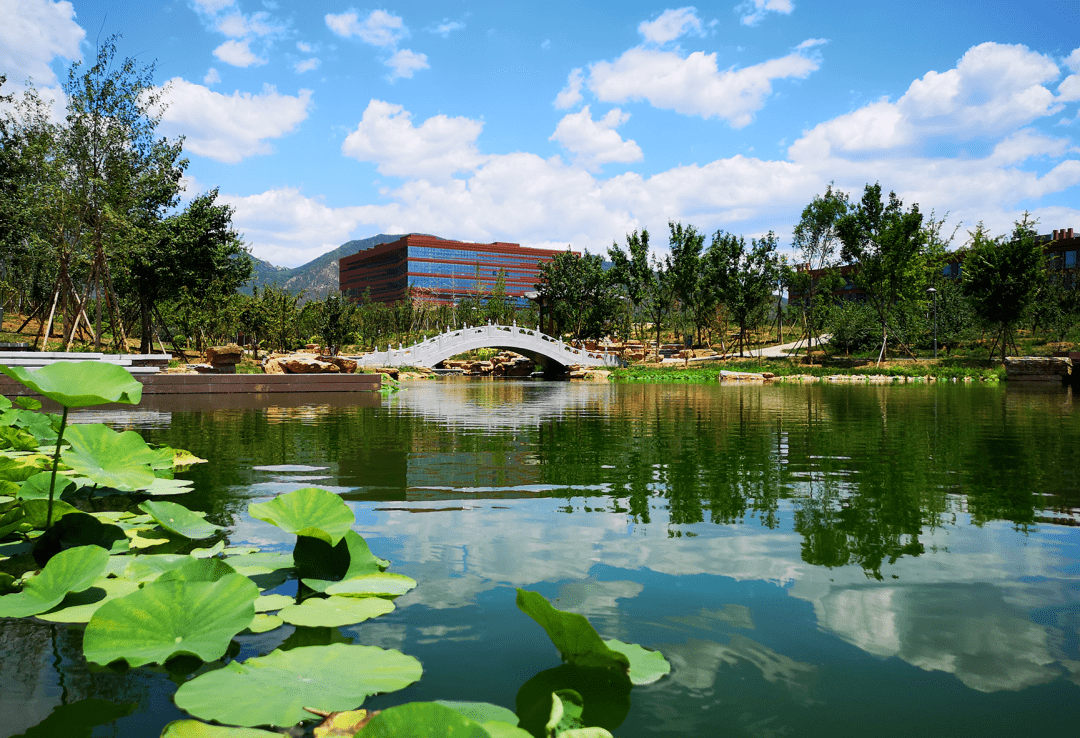 北京化工大学 北校区图片