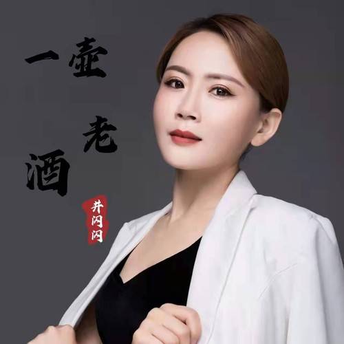 井闪闪商务演出资料_浏览器_音乐_其他