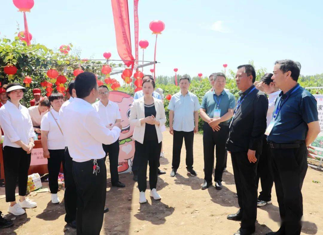 内乡县(首届)默河生态经济示范带农游采摘节启动仪式举行_建设_发展