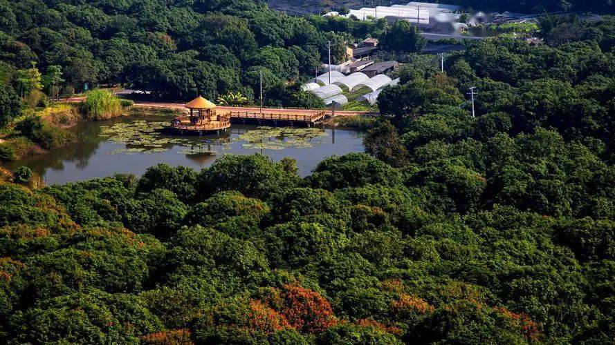 599元享【漳州道田民宿】2天1夜田园客房套餐!