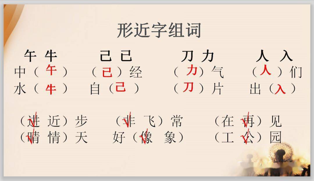 资的组词组什么(资字组词语是什么)